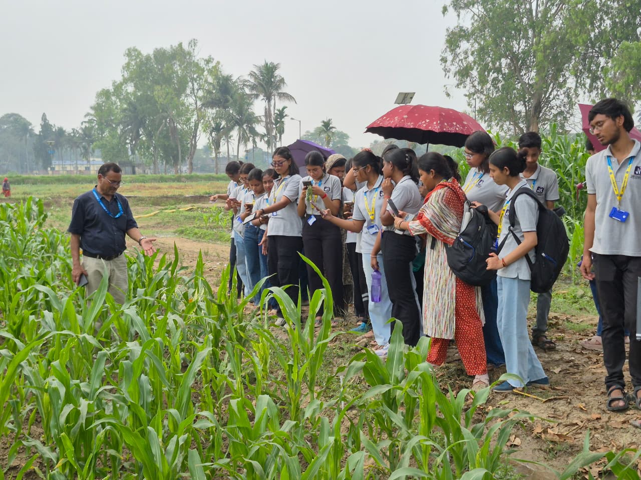 Agriculture Facility